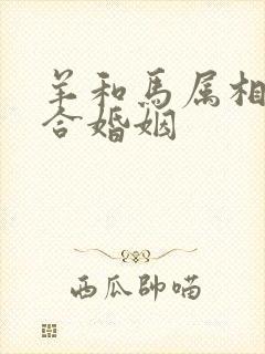 羊和马属相合不合婚姻