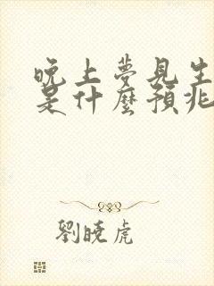 晚上梦见生孩子是什么预兆