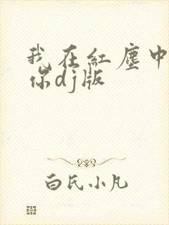 我在红尘中遇见你dj版
