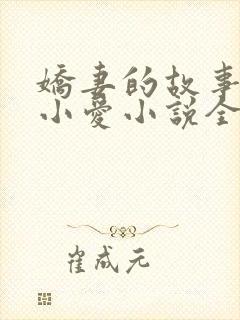 娇妻的故事吴勇小爱小说全文阅读