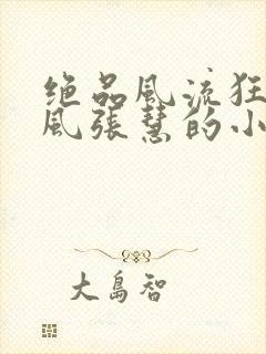 绝品风流狂医林风张慧的小说