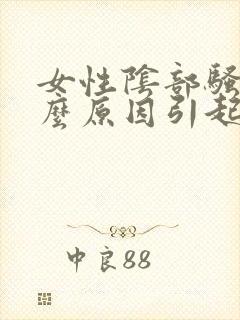 女性阴部骚痒什么原因引起的