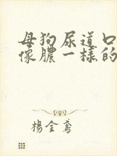 母狗尿道口流出像脓一样的液体怎么办