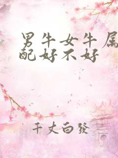 男牛女牛属相婚配好不好