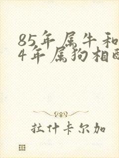 85年属牛和94年属狗相配吗