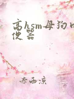 高hsm母狗肉便器