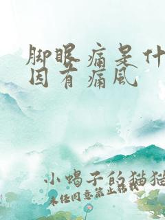 脚眼痛是什么原因有痛风