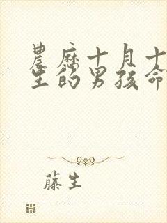 农历十月十五出生的男孩命运