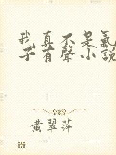 我真不是气运之子有声小说