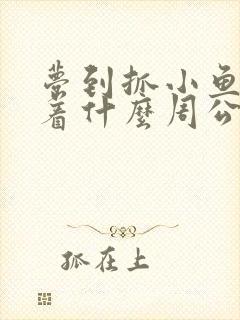 梦到抓小鱼预示着什么周公解梦