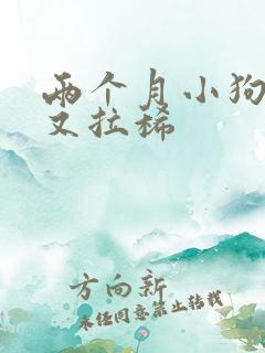 两个月小狗又吐又拉稀