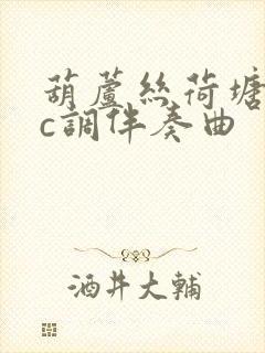 葫芦丝荷塘月色c调伴奏曲