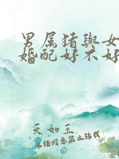 男属猪与女属兔婚配好不好