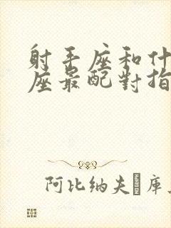 射手座和什么星座最配对指数