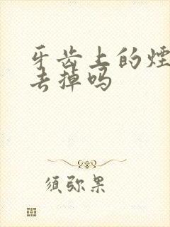 牙齿上的烟渍能去掉吗