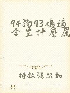 94狗93鸡适合生什么属相的孩子