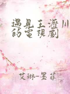 遇见王沥川类似的电视剧