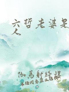 六哲老婆是哪里人