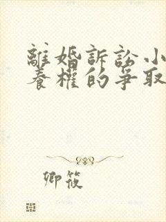 离婚诉讼小孩抚养权的争取