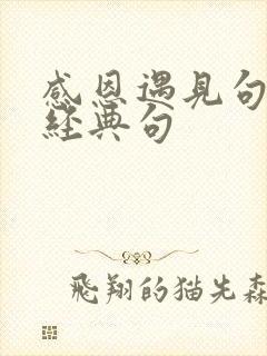 感恩遇见句子的经典句