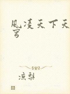 风凌天下天域苍穹