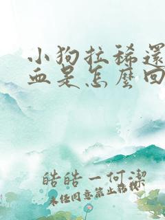 小狗拉稀还带点血是怎么回事