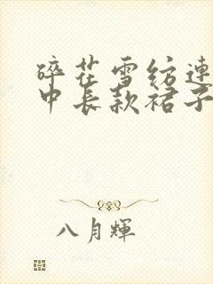 碎花雪纺连衣裙中长款裙子