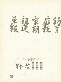 单亲家庭的孩子叛逆期教育