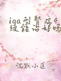 iga型肾病4级能治好吗