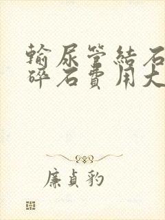 输尿管结石体外碎石费用大概多少钱