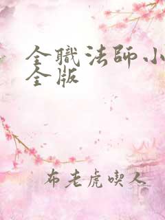 全职法师小说完全版