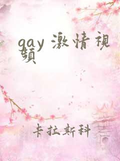 gay 激情视频