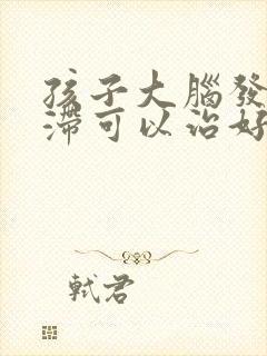 孩子大脑发育迟滞可以治好吗