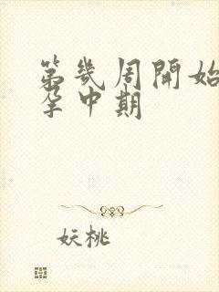 第几周开始属于孕中期