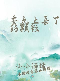 睾丸上长了白色的颗粒