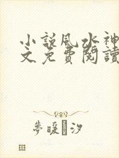 小说风水神婿全文免费阅读