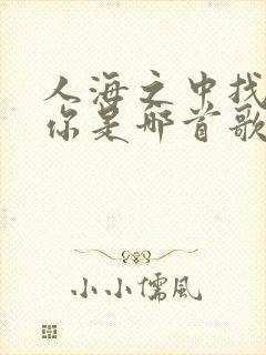 人海之中找到了你是哪首歌的歌词