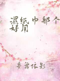 湿纸巾那个牌子好用