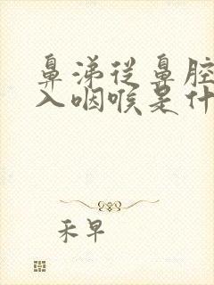 鼻涕从鼻腔内流入咽喉是什么原因