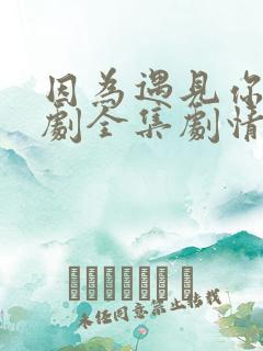 因为遇见你电视剧全集剧情介绍