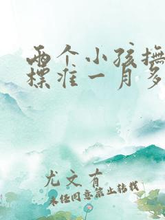 两个小孩抚养费标准一月多少钱