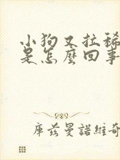 小狗又拉稀又吐是怎么回事