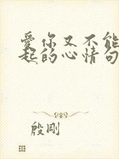 爱你又不能在一起的心情句子