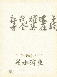 许我耀眼免费观看全集在线播放高清