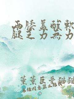 两膝盖酸软,两腿乏力无力怎么回事