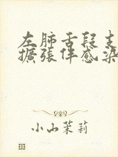 左肺舌段支气管扩张伴感染