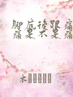 脚底后跟痛有点痛是不是痛风