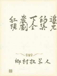 红岩下的追捕电视剧全集免费观看