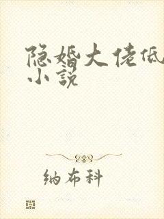 隐婚大佬低调宠小说