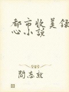 都市收美录宁素心小说